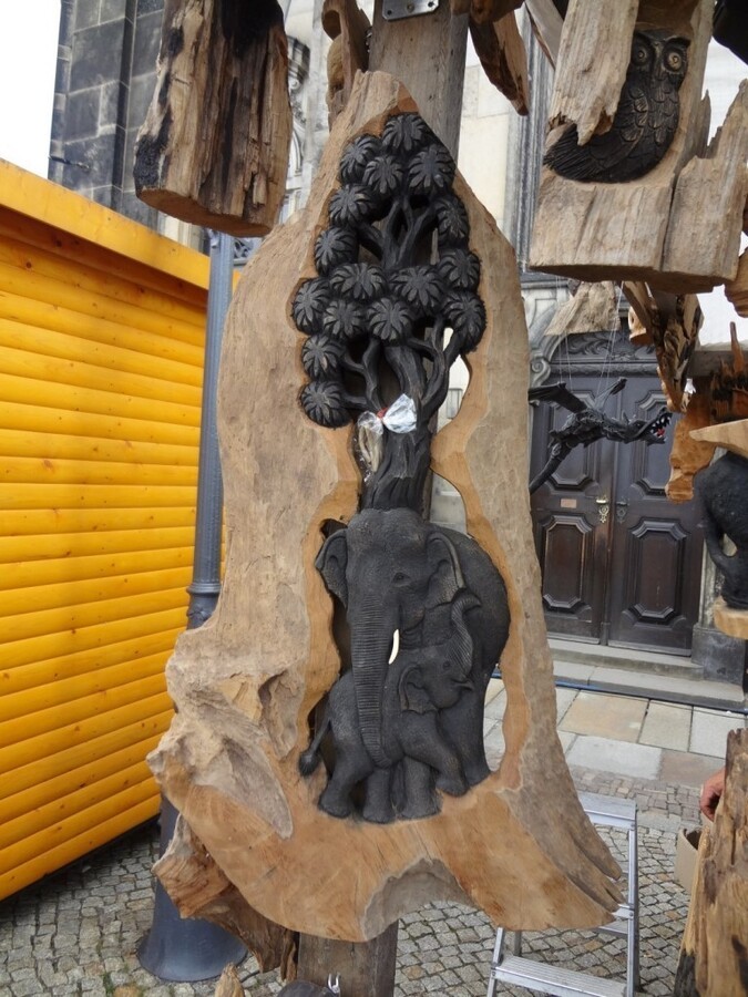 DSC02692 (Large).JPG