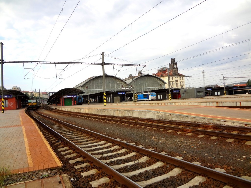 DSC02733 (Large).JPG