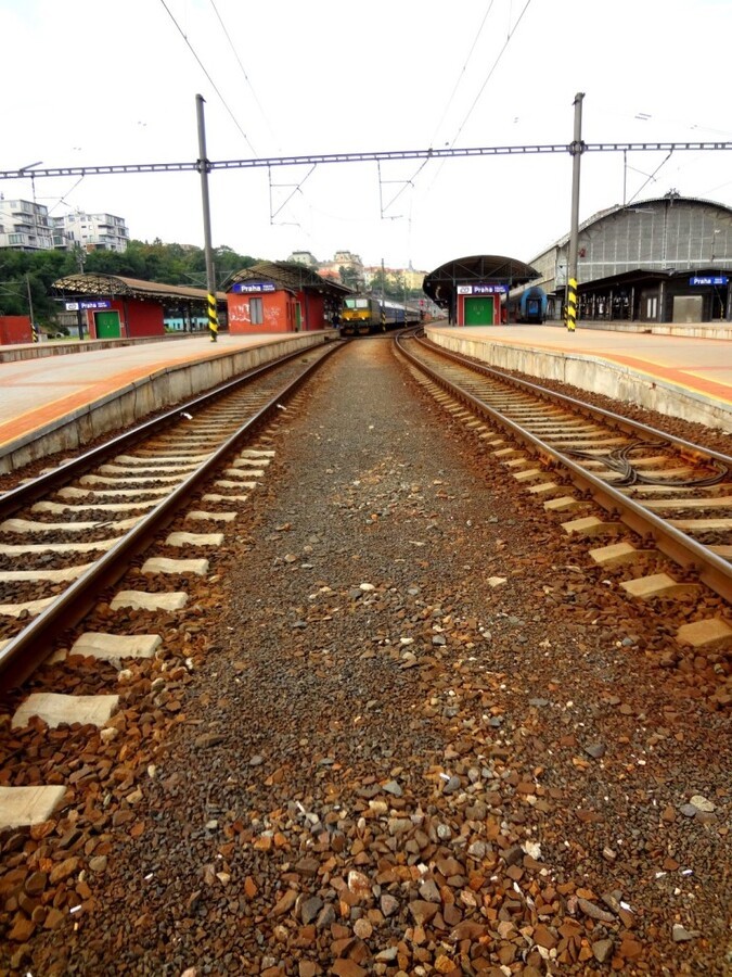 DSC02734 (Large).JPG