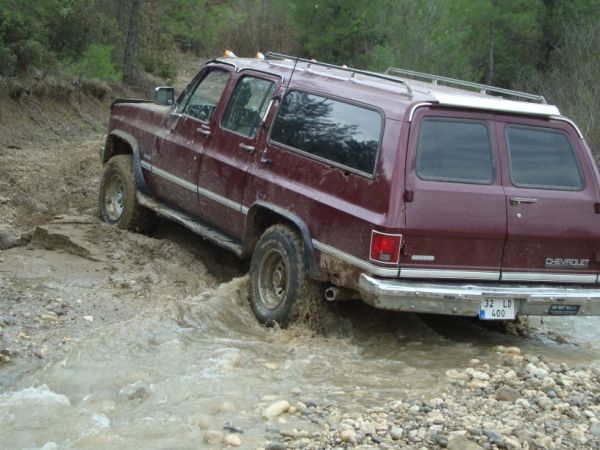 DSC02735 (600 x 450).jpg