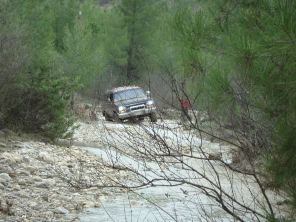 DSC02736 (600 x 450).jpg