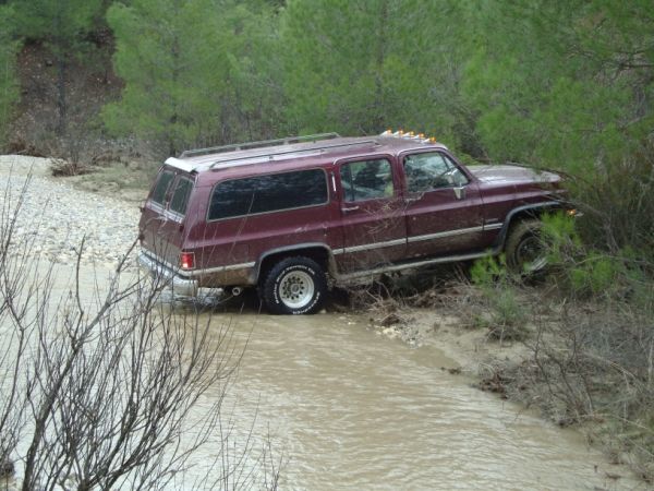 DSC02745 (600 x 450).jpg