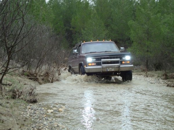 DSC02753 (600 x 450).jpg