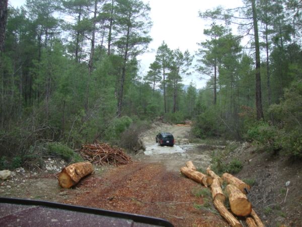 DSC02755 (600 x 450).jpg