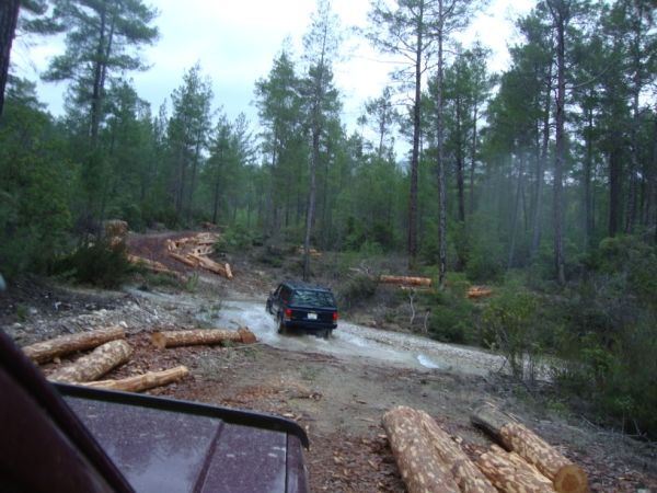 DSC02757 (600 x 450).jpg