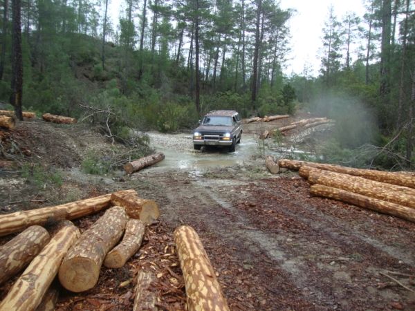 DSC02764 (600 x 450).jpg