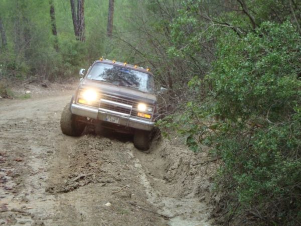 DSC02782 (600 x 450).jpg