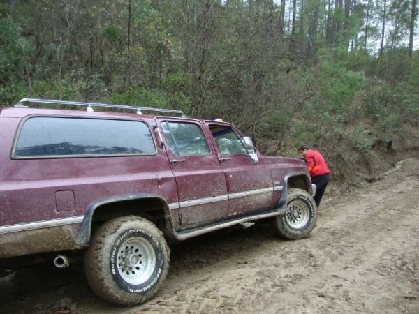 DSC02783 (600 x 450).jpg