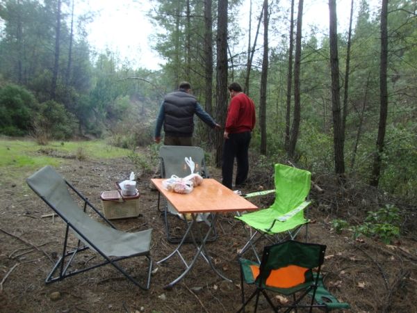 DSC02815 (600 x 450).jpg