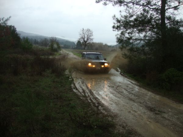 DSC02841 (600 x 450).jpg