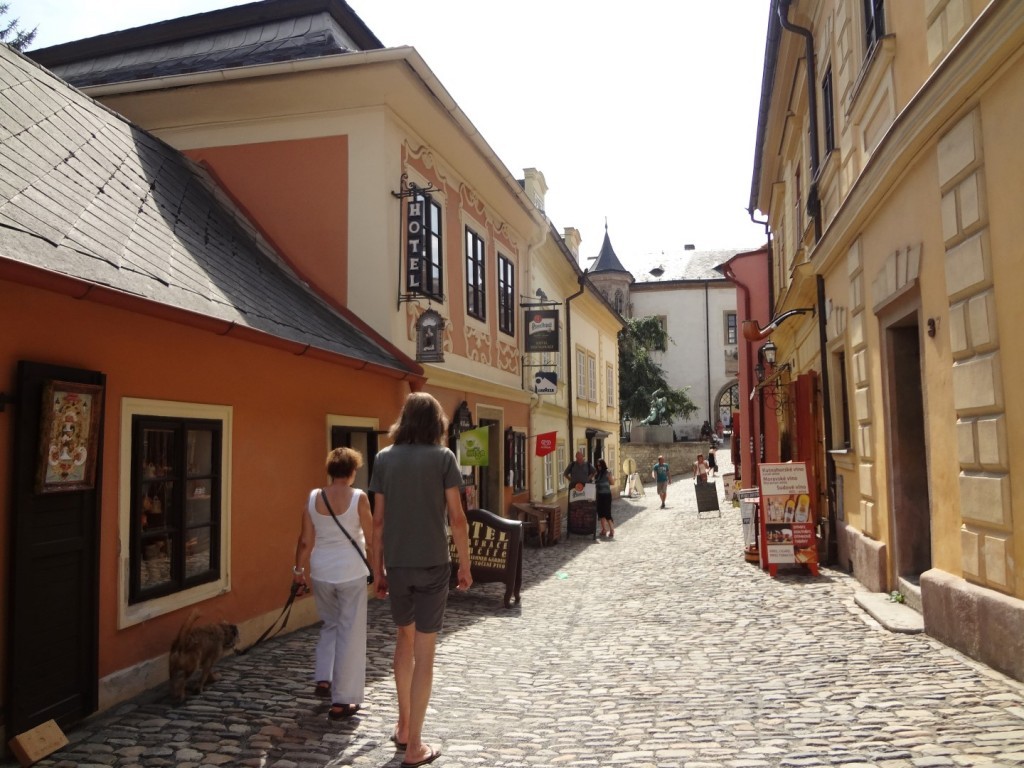 DSC02855 (Large).JPG