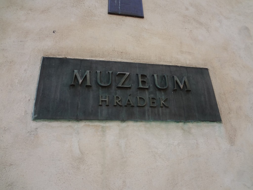 DSC02858 (Large).JPG