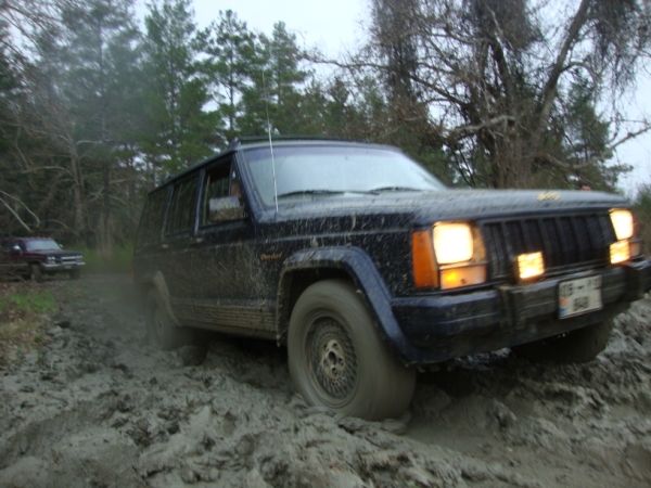 DSC02859 (600 x 450).jpg