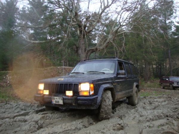 DSC02861 (600 x 450).jpg