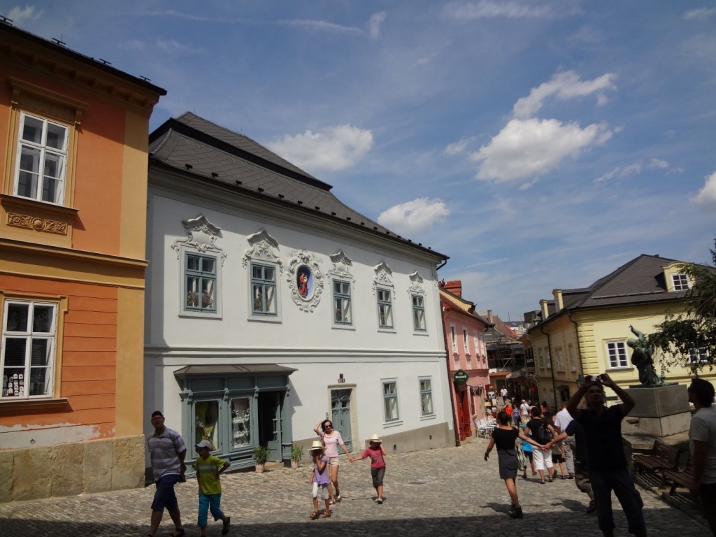 DSC02861 (Large).JPG