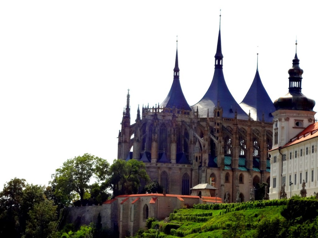 DSC02872 (Large).JPG