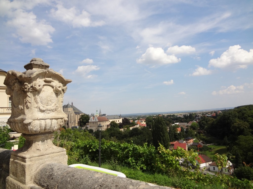 DSC02888 (Large).JPG