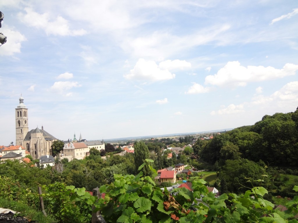 DSC02889 (Large).JPG