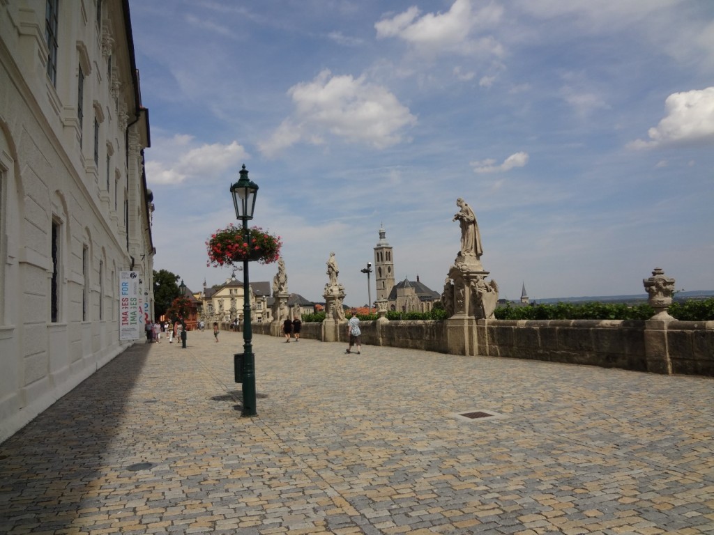 DSC02896 (Large).JPG