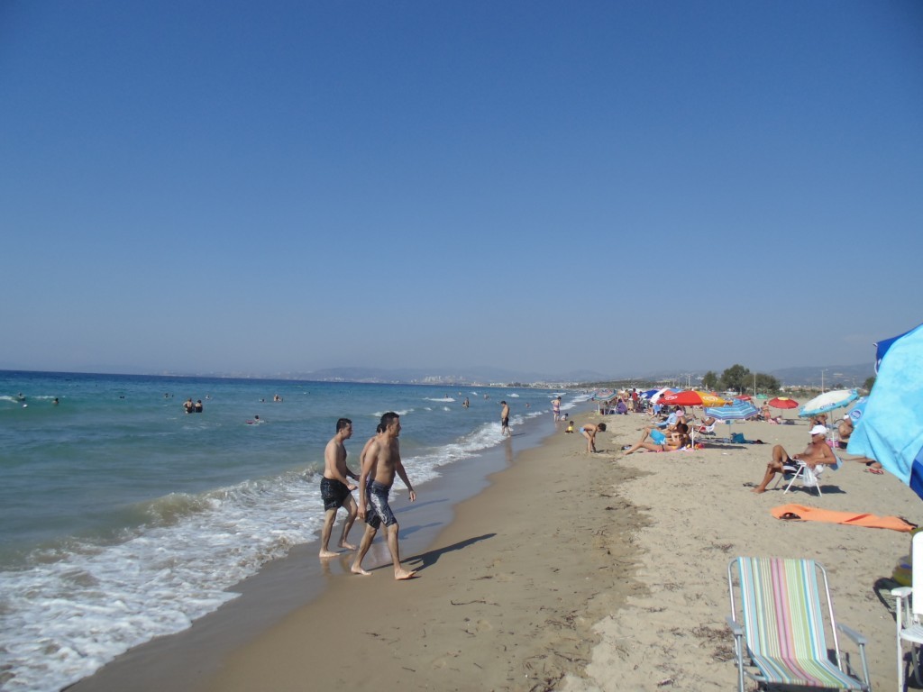 DSC02932.JPG DSC02932.JPG