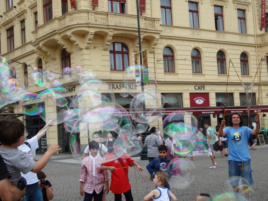 DSC02938 (Large).JPG