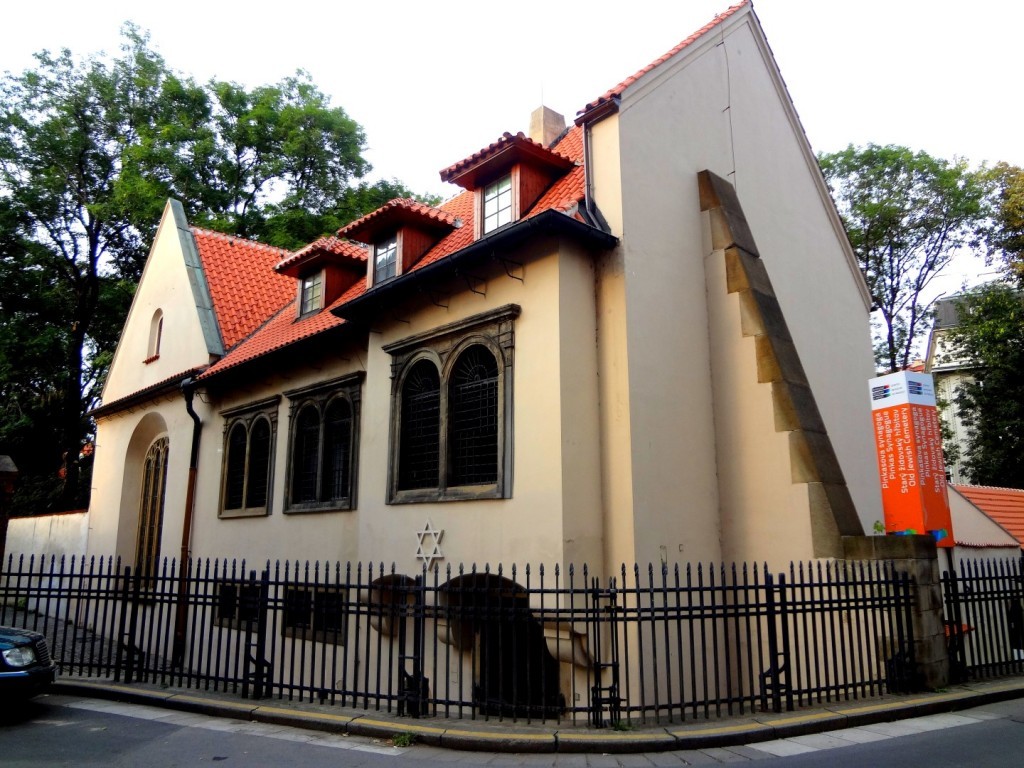 DSC02957 (Large).JPG