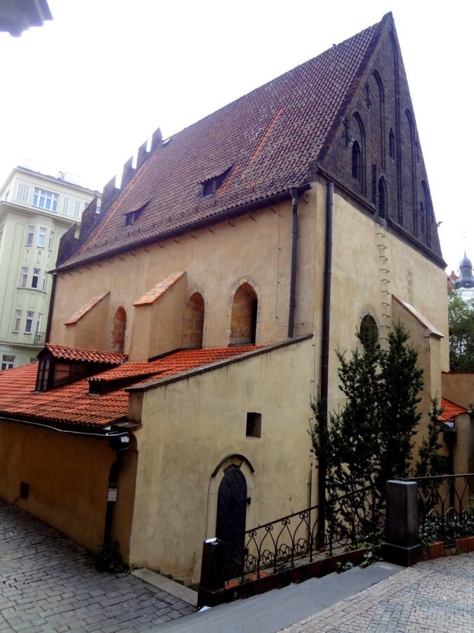 DSC02965 (Large).JPG