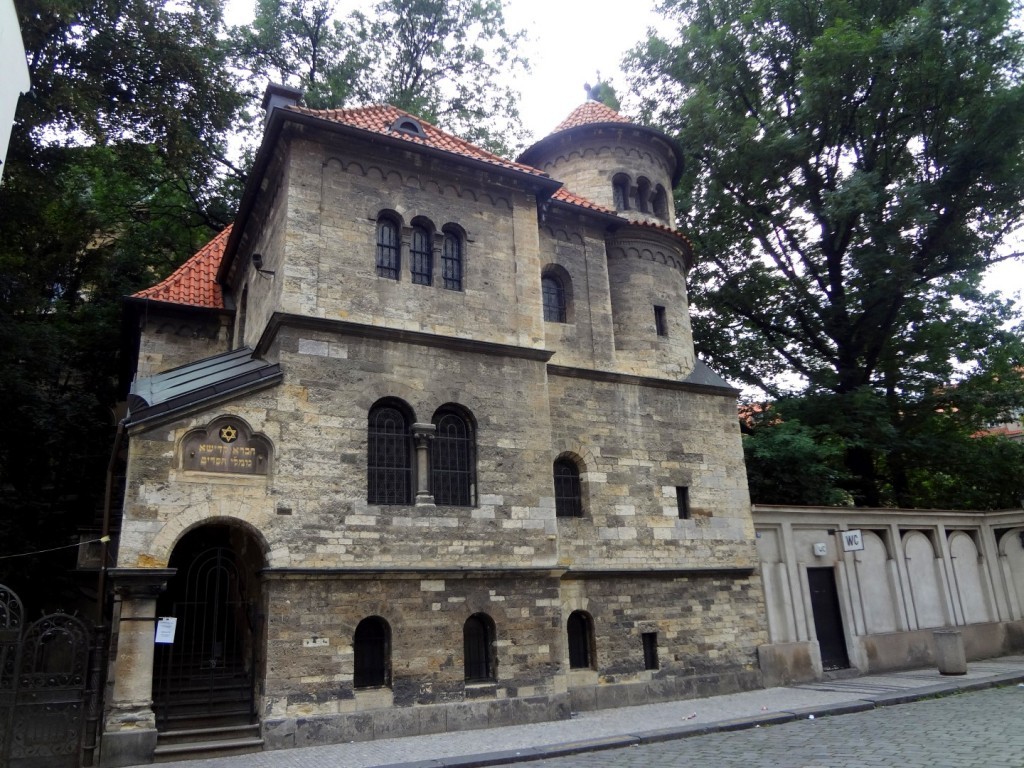 DSC02972 (Large).JPG