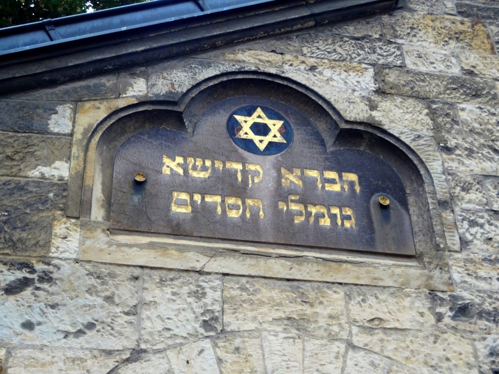 DSC02974 (Large).JPG