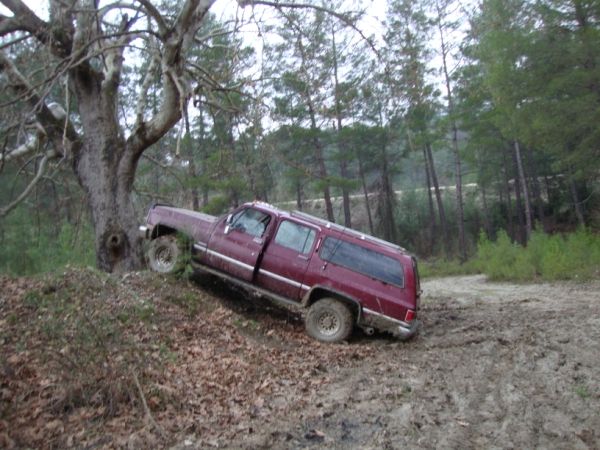 DSC02978 (600 x 450).jpg