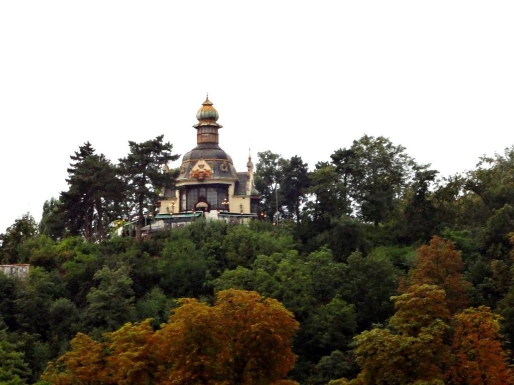 DSC02988 (Large).JPG