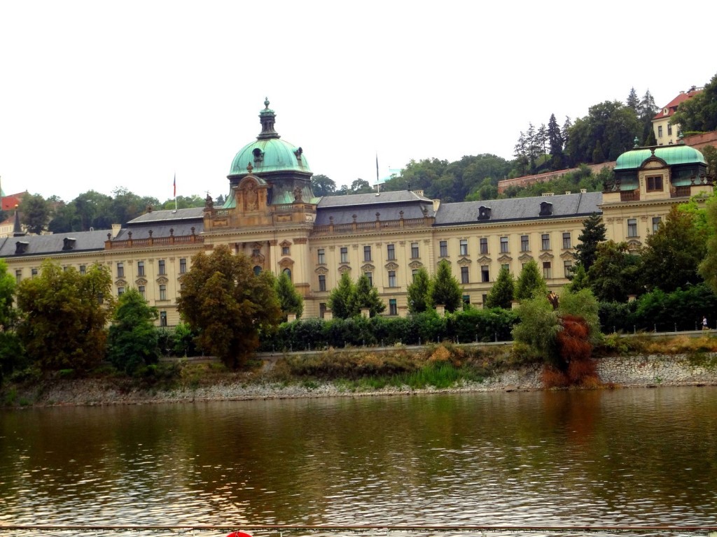 DSC02989 (Large).JPG