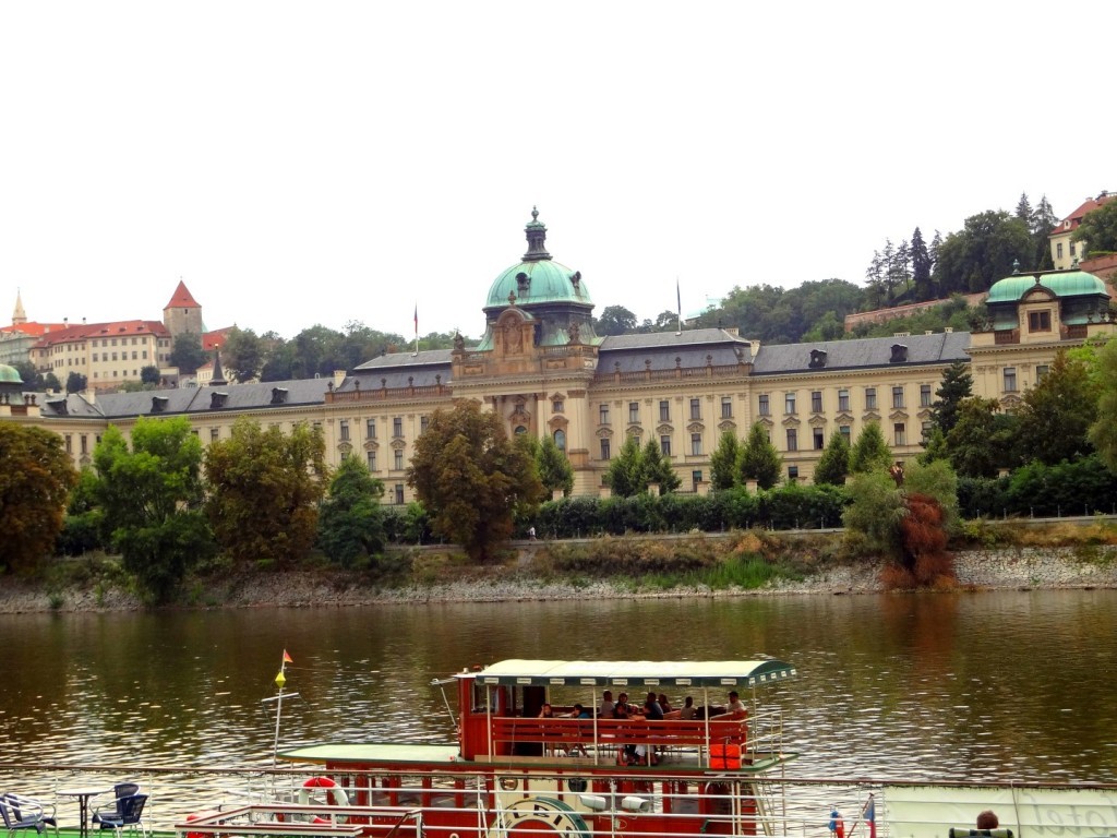 DSC02990 (Large).JPG