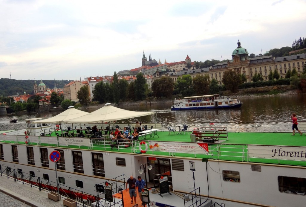 DSC02992 (Large).JPG