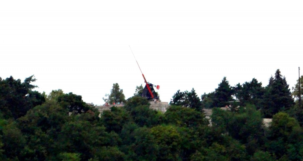 DSC03004 (Large).JPG