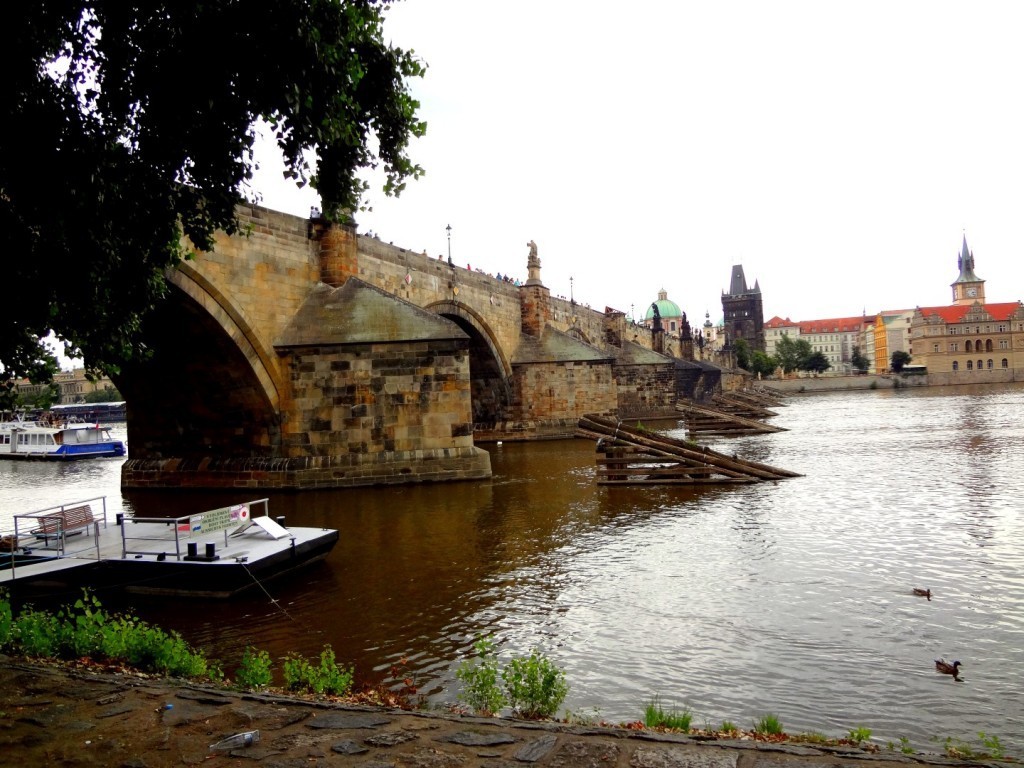 DSC03292 (Large).JPG