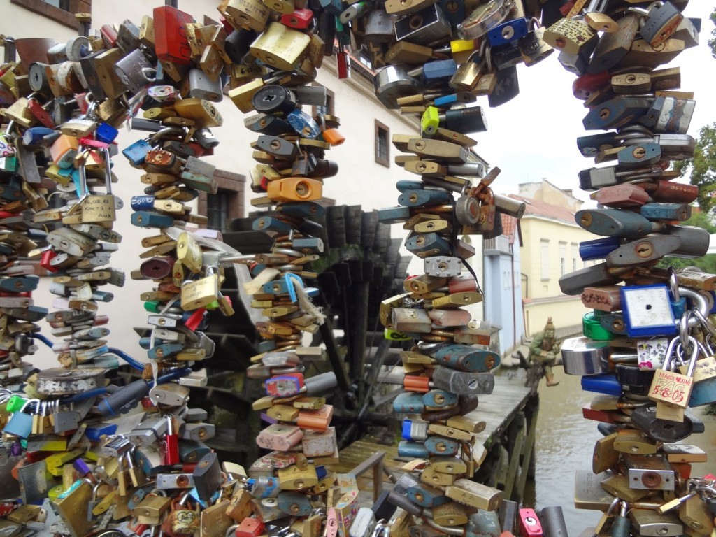 DSC03301 (Large).JPG