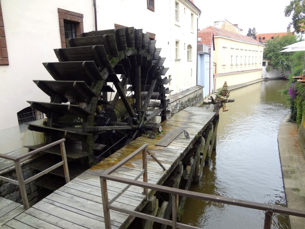 DSC03302 (Large).JPG