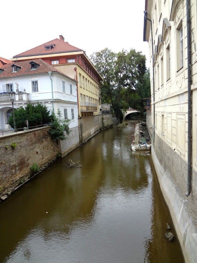 DSC03303 (Large).JPG