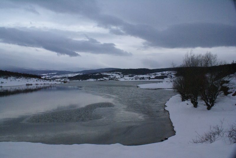 DSC03596.jpg