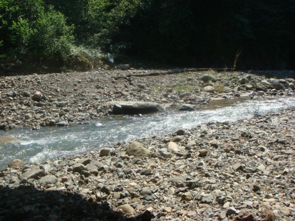 DSC03883.jpg