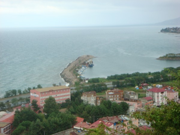 DSC03935.jpg