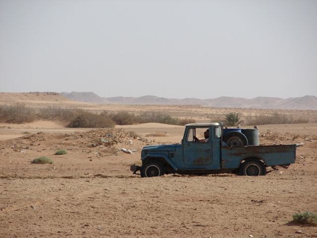 DSC04117.jpg
