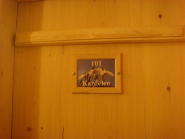 DSC04122.jpg