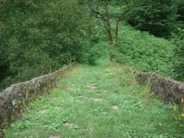 DSC04166.jpg