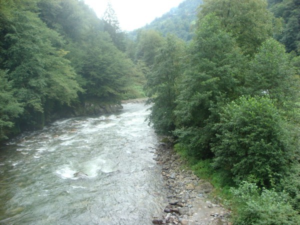 DSC04168.jpg