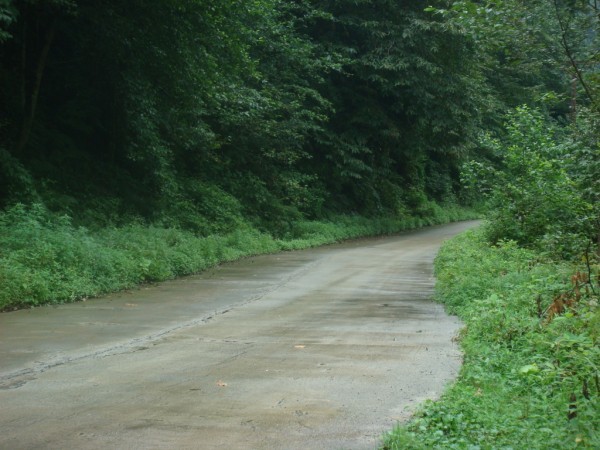 DSC04172.jpg