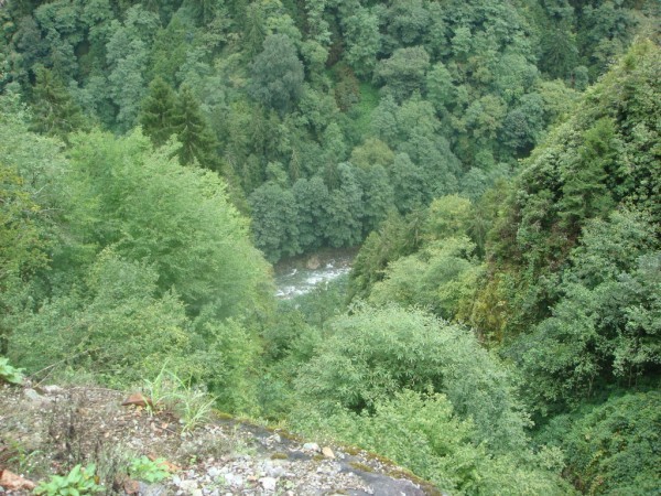 DSC04176.jpg