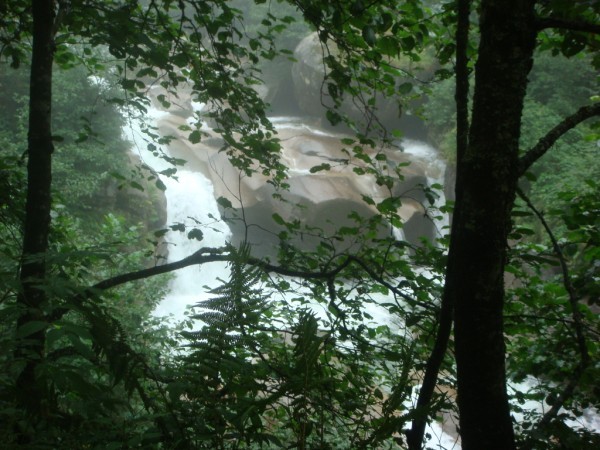 DSC04184.jpg