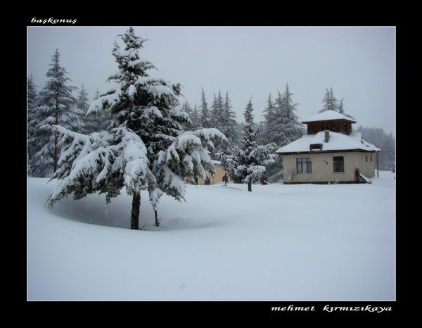 DSC04365  n.jpg     G.jpg